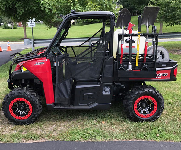 Gator 17